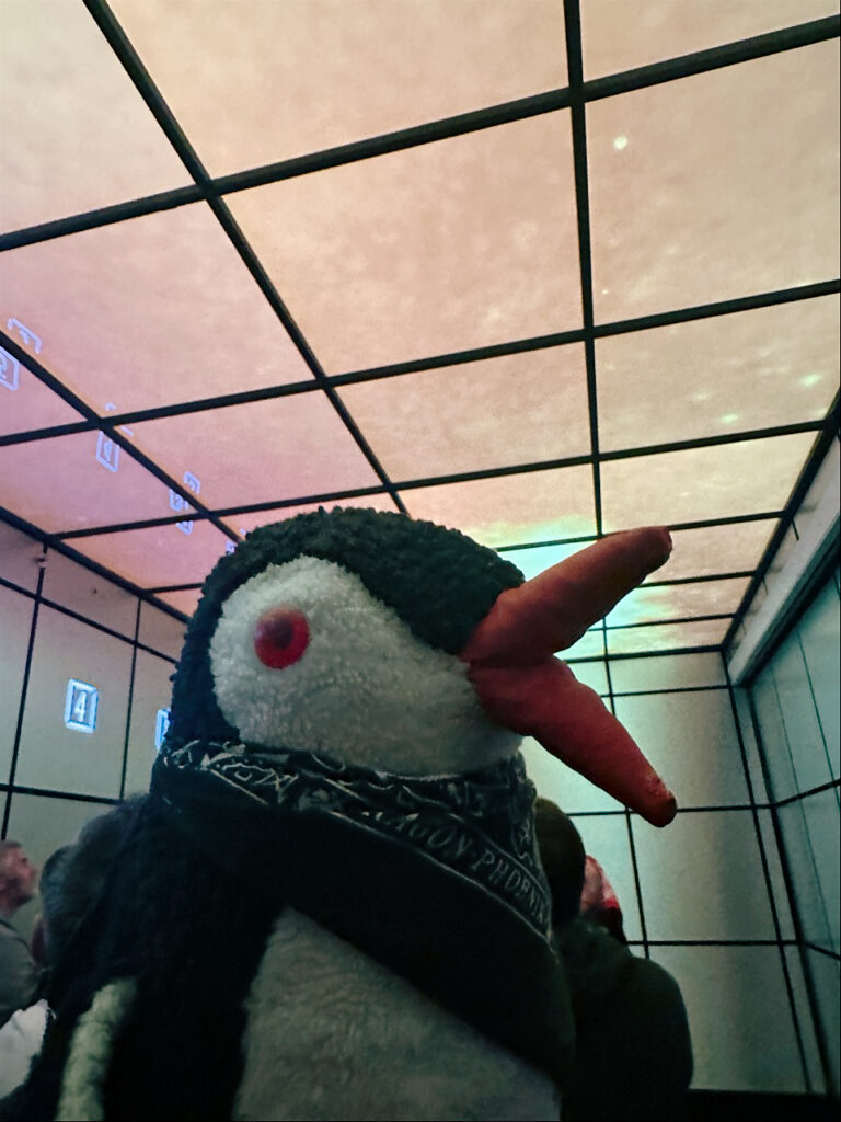 Miško the penguin wearing a bandana looks up at a grid ceiling inside the Heineken Experience Amsterdam
