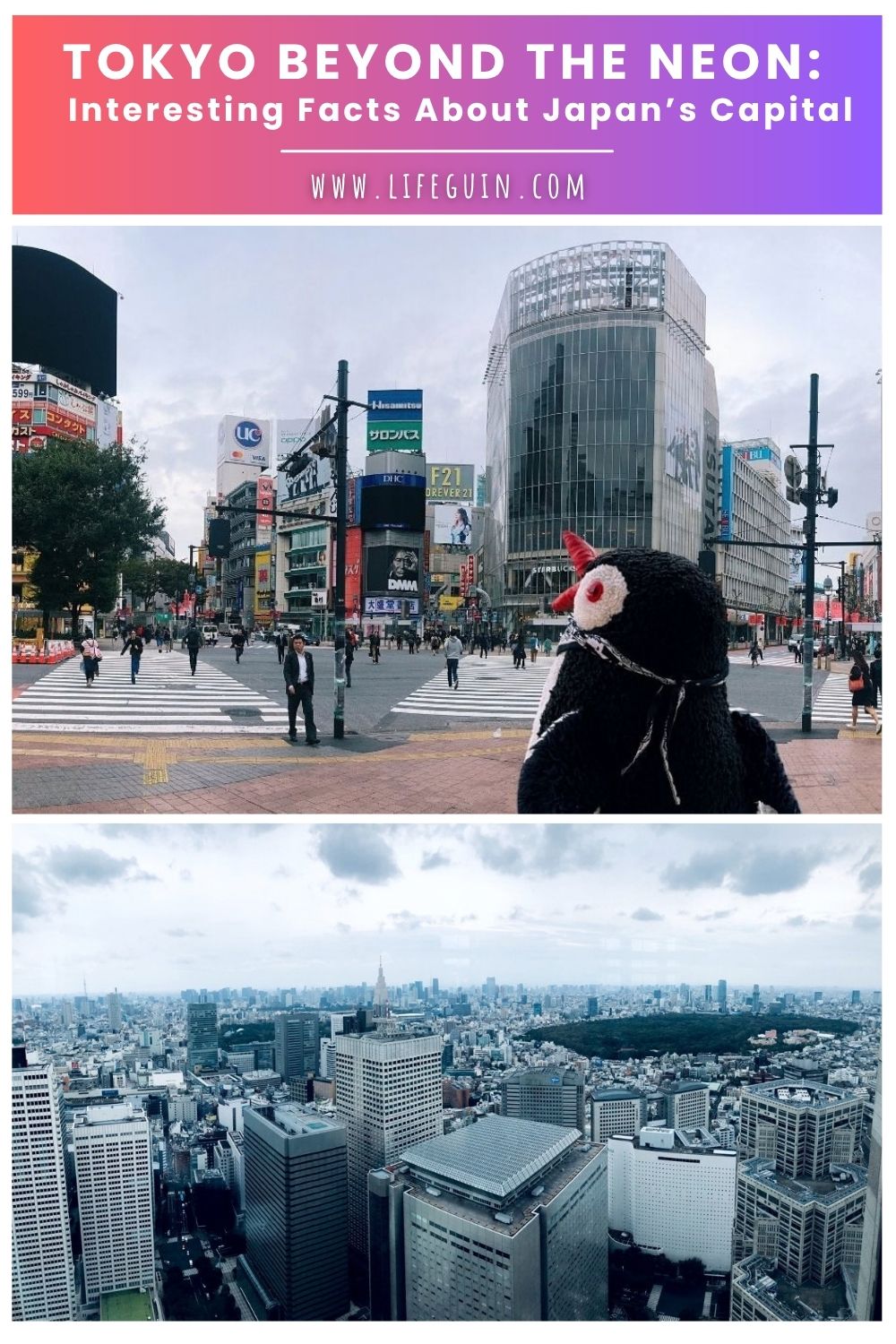 interesting-facts-about-tokyo-pin