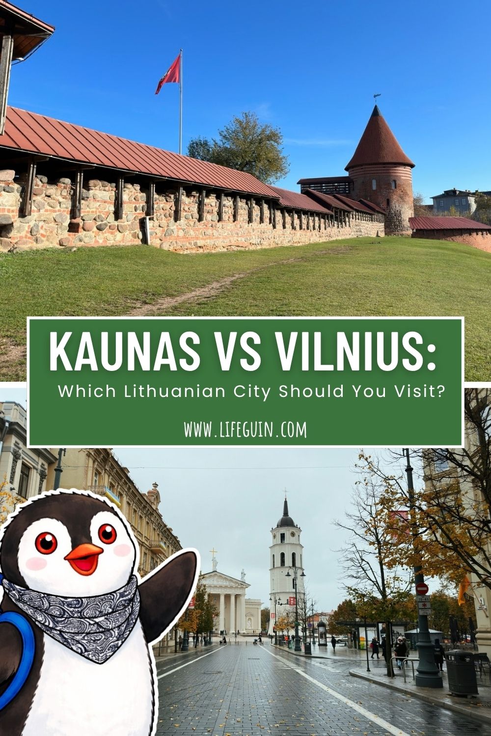 kaunas-vs-vilnius-pin