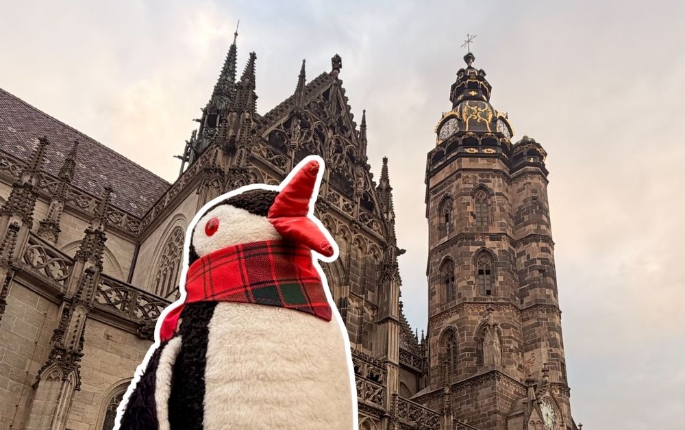 A small plush penguin toy standing on a snowy surface, its beak visible