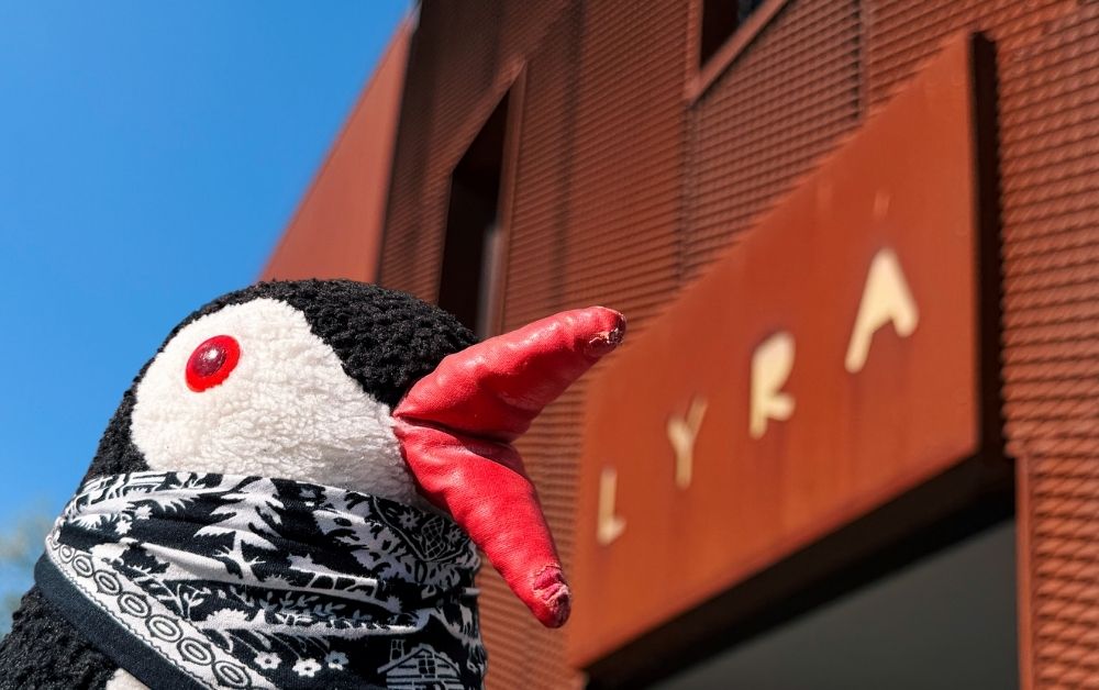 Miško the knitted penguin wearing a black and white scarf stands in front of the LYRA sign on a reddish-brown building