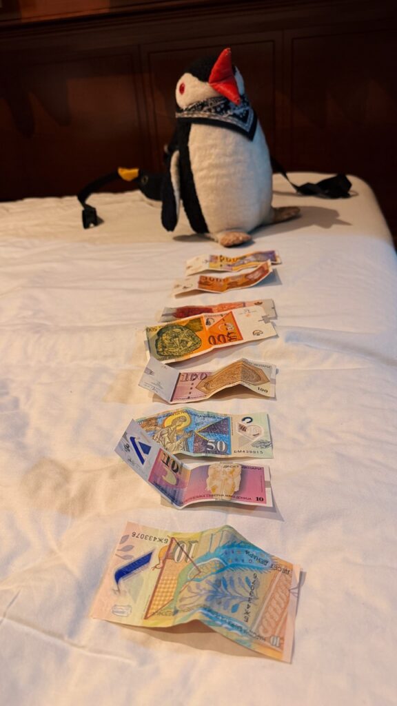 Miško the knitted penguin sits on a bed behind a row of North Macedonia banknotes laid out on white sheets