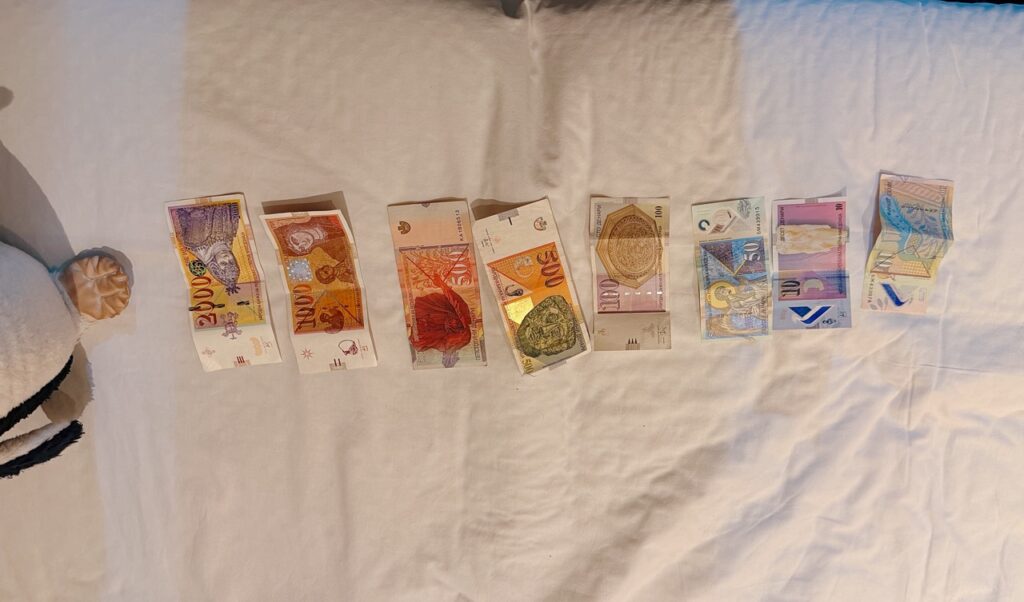 North Macedonian denar banknotes ranging from 10 to 5000 laid out in a row on a white sheet next to the knitted penguin Miško