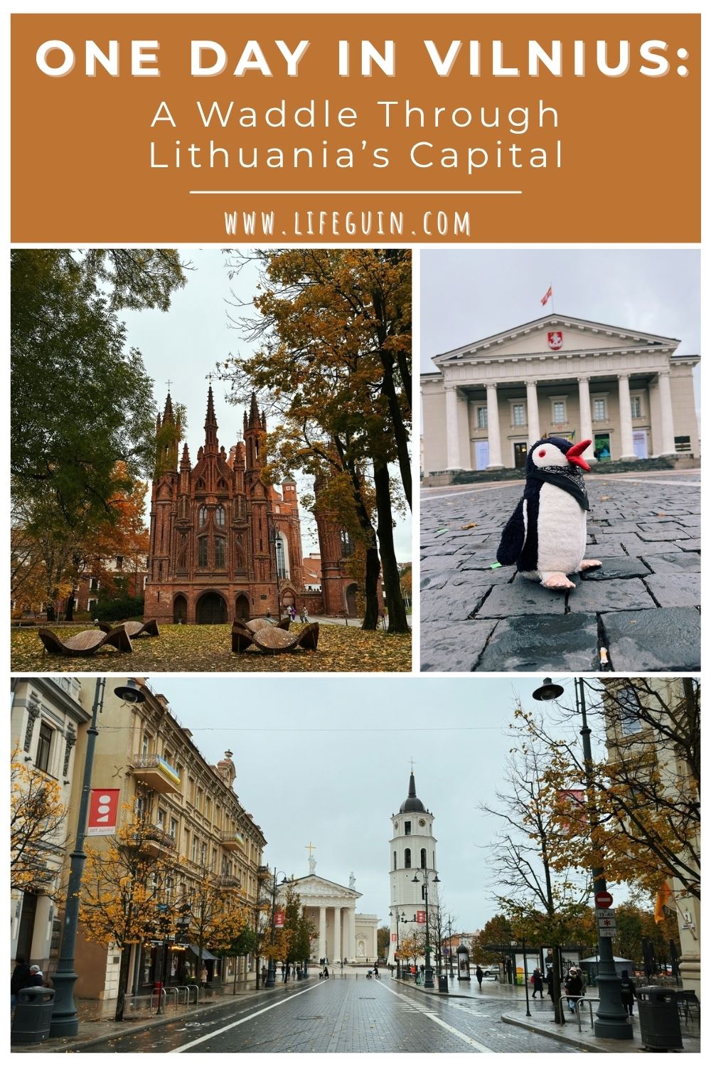 one-day-in-vilnius-pin