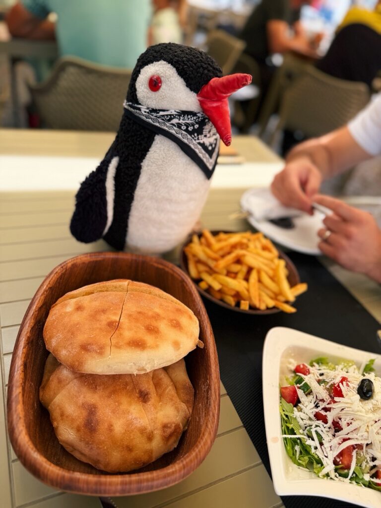 Miško the knitted penguin sits next to a bowl of flatbreads fries and salad at Restaurant Familjar Pashtriku Prizren