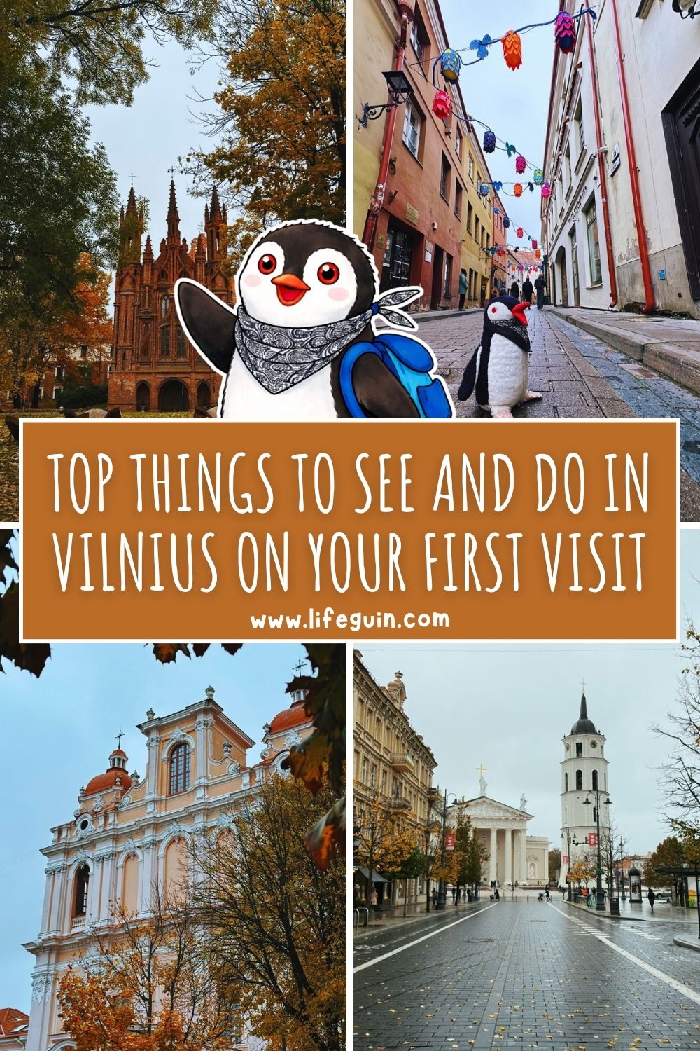 things-to-do-in-vilnius-pin