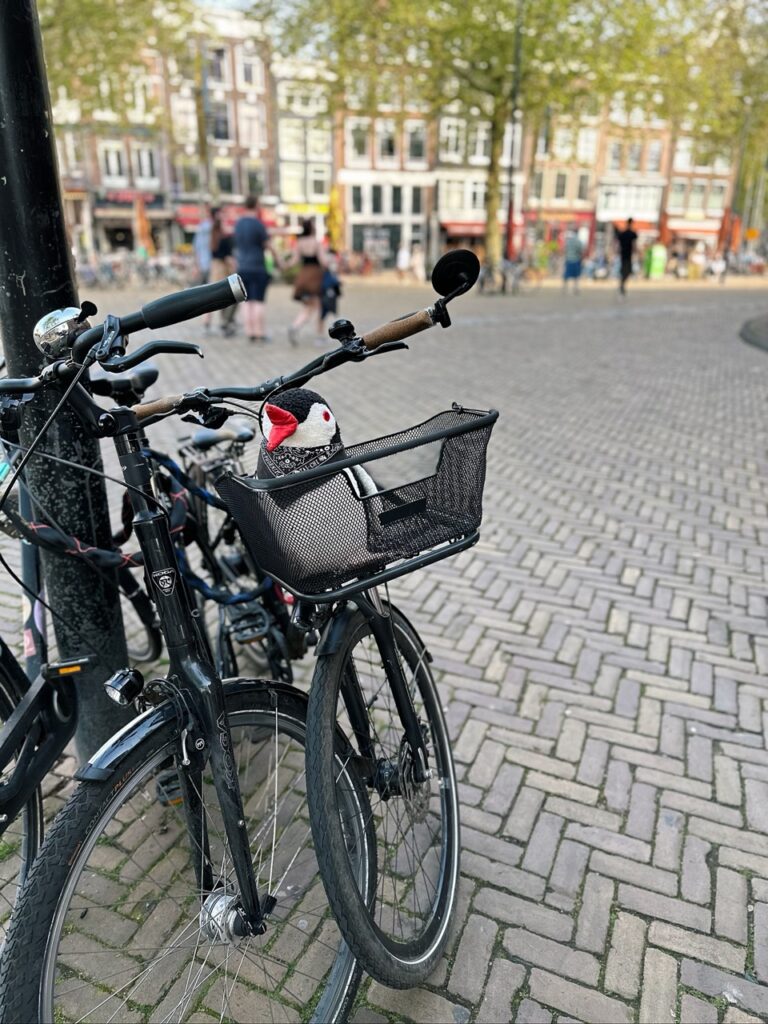 The knitted toy penguin Miško sits in the front basket of a black bicycle parked on a brick street in the Netherlands