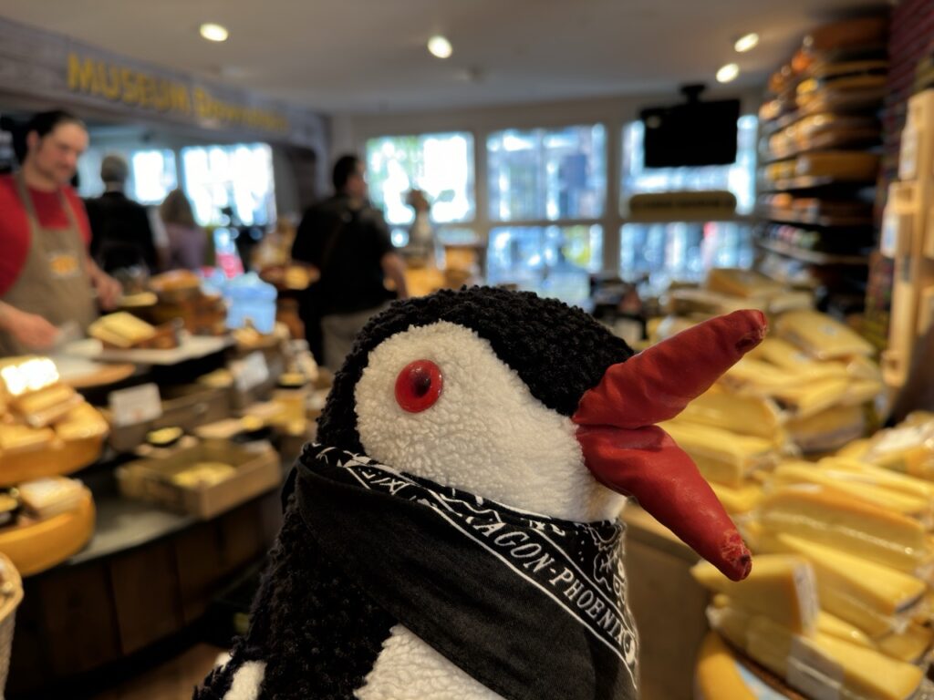Miško the knitted penguin stands in front of cheese displays in a shop