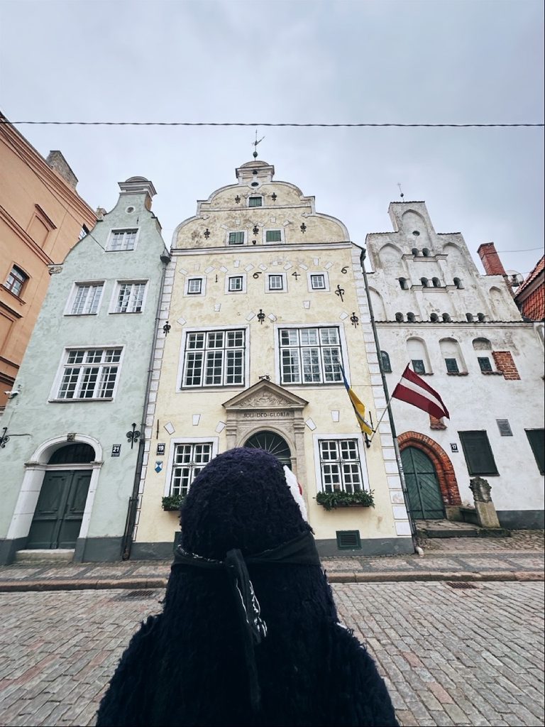 Miško stands on cobblestones facing historic buildings in Riga with a Latvian flag and the year 1646