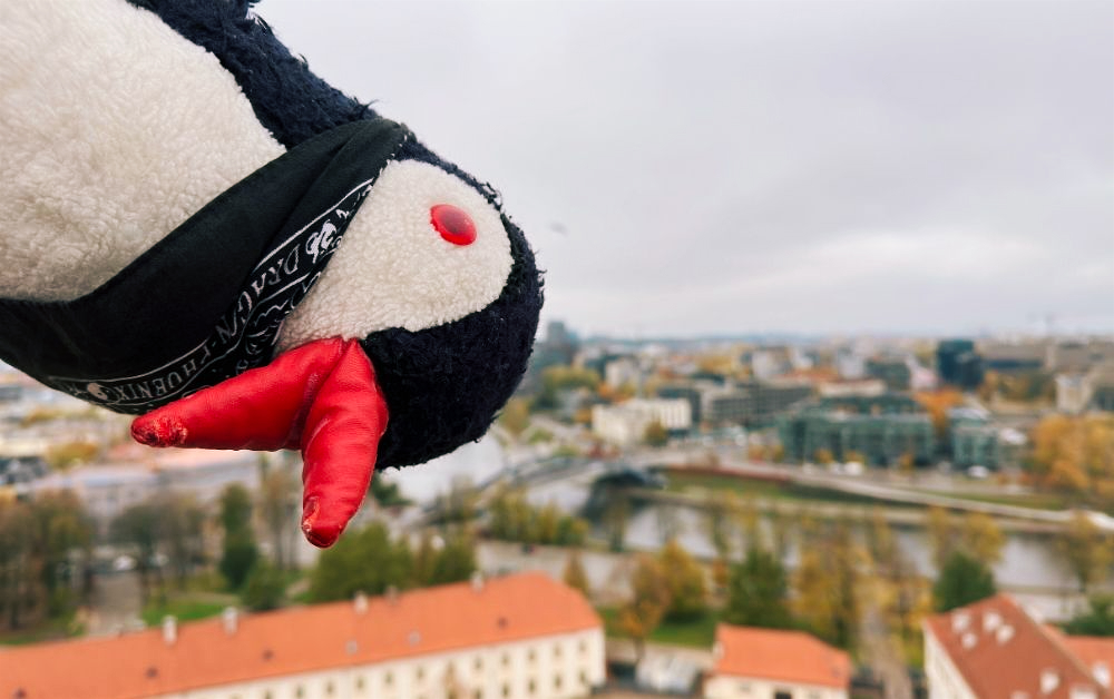 Miško the knitted penguin wearing a black bandana overlooks the city of Vilnius with red rooftops