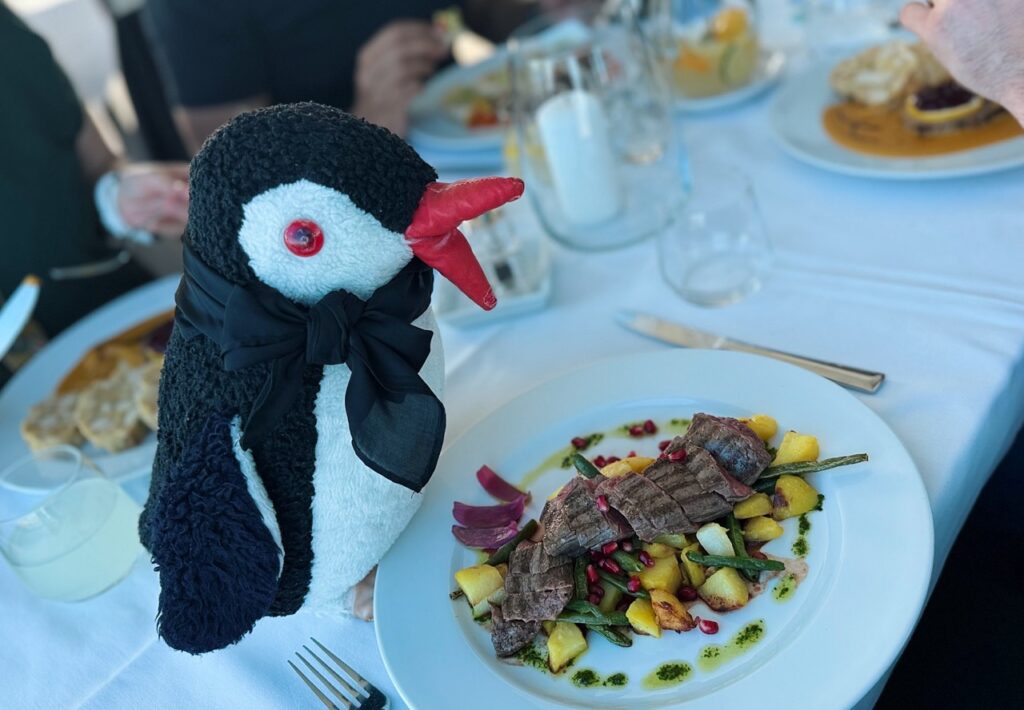 Miško the knitted penguin wearing a black bow tie sits next to sliced steak with potatoes and asparagus at VEŽA Bratislava