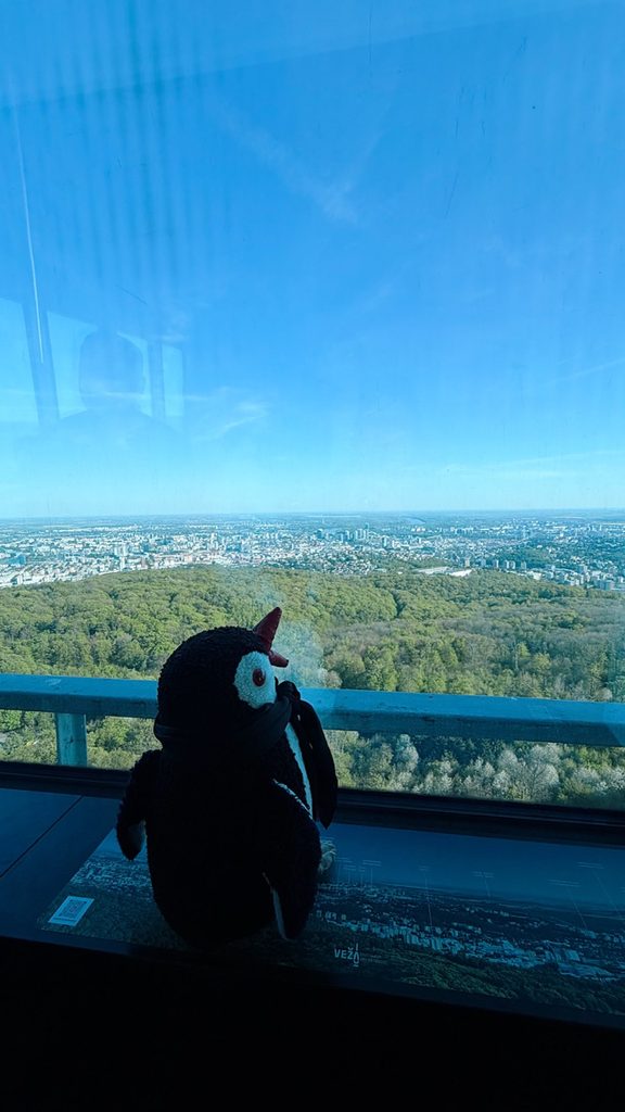 Miško the knitted penguin looks out a large window at the city and forest below from VEŽA Bratislava