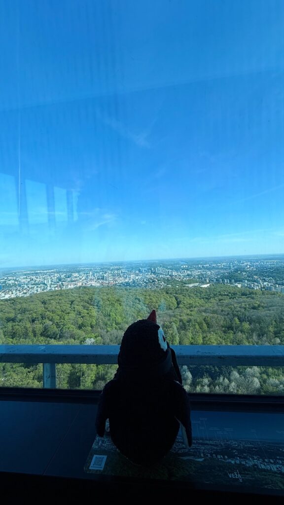 Miško the knitted penguin looks out a large window at a green forest and city skyline from VEŽA Bratislava