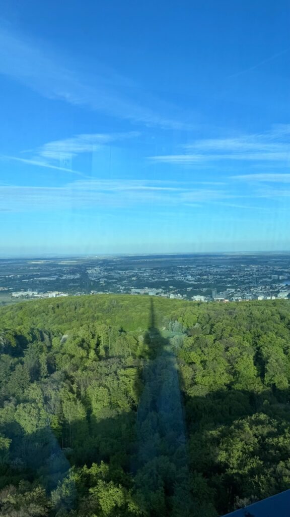 View from VEŽA Bratislava showing a dense forest with the tower's shadow and the city skyline in the distance under a blue sky