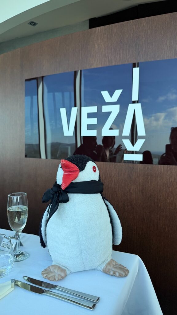 Miško the knitted penguin sits on a white tablecloth with cutlery and a glass in front of a wall sign reading VEŽA