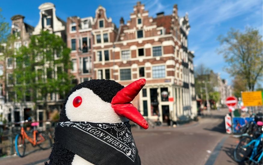 Amsterdam Beyond the Canals: What Is It Famous For?