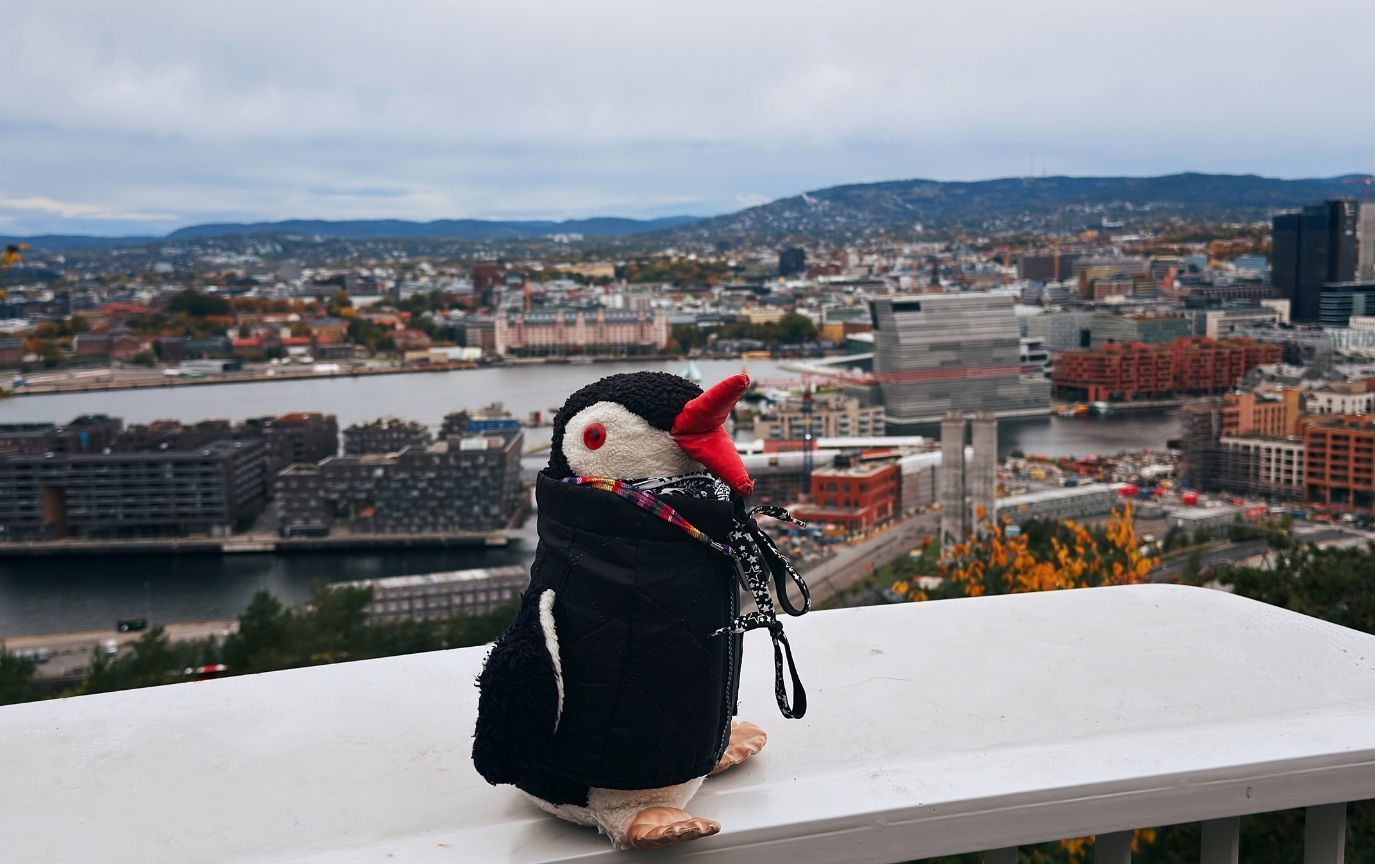 best-viewpoints-in-oslo