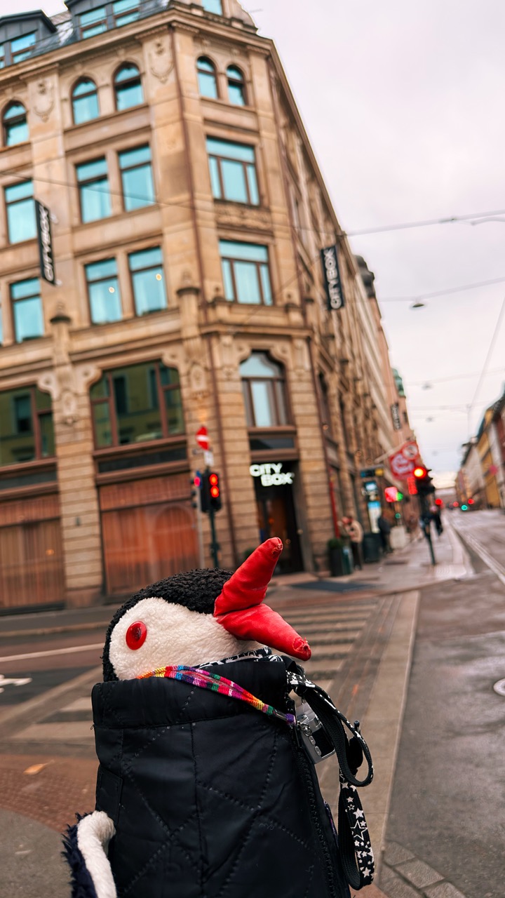 citybox-oslo-review