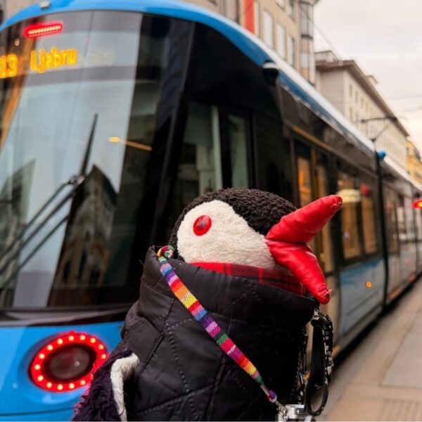 how-to-get-around-oslo-featured