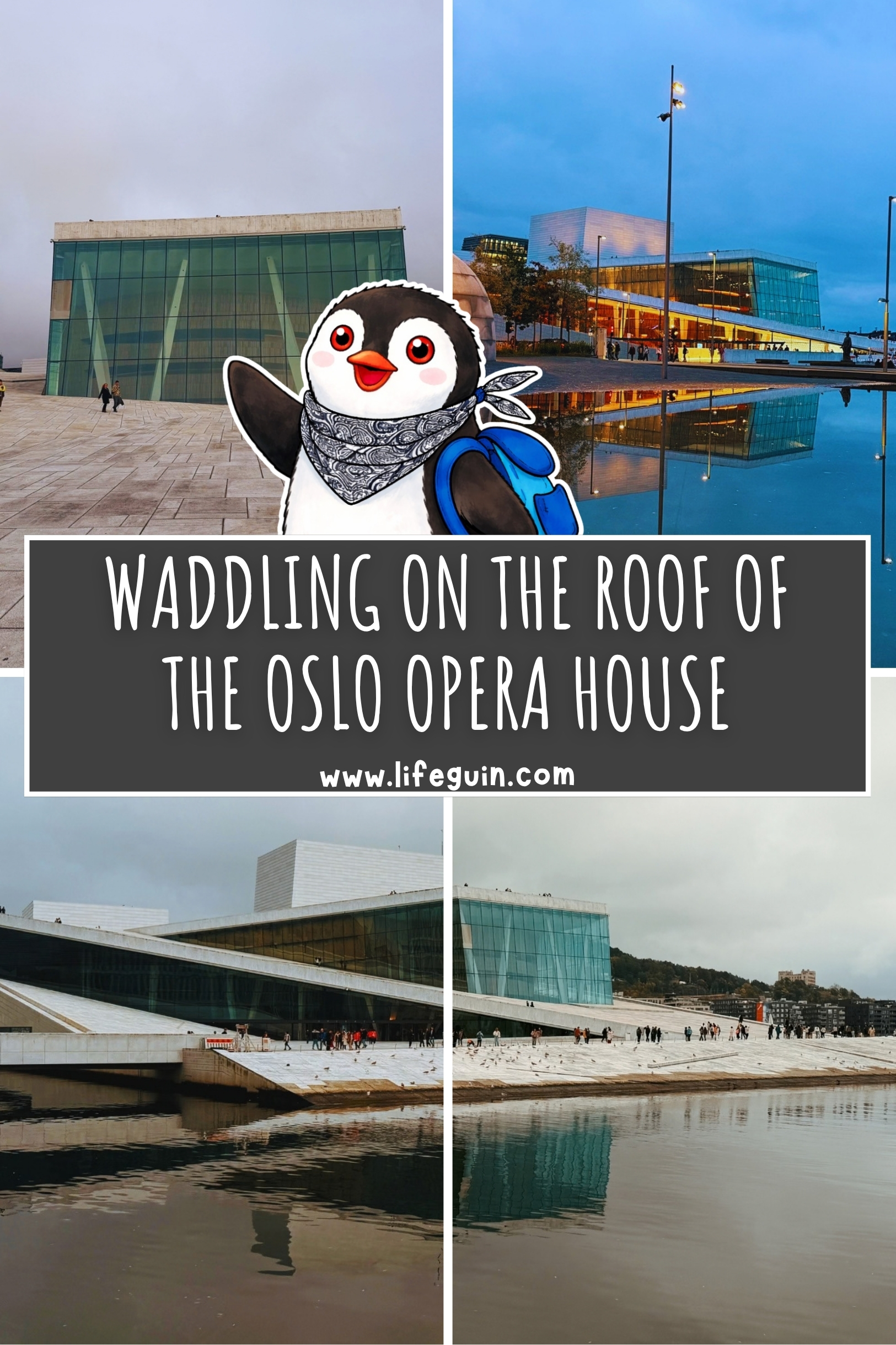 oslo-opera-house-rooftop-pin