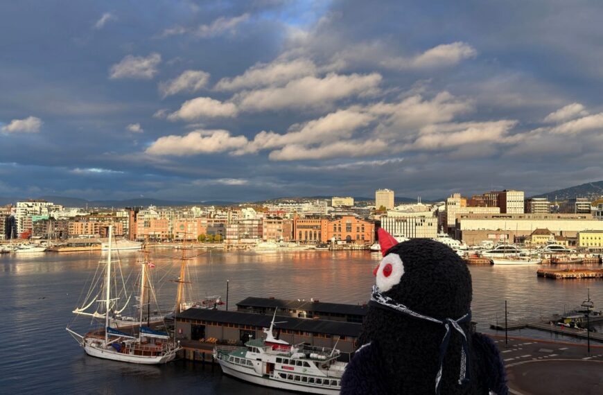 Miško the toy penguin looks out over the Oslo harbor with boats and city buildings under a cloudy sky