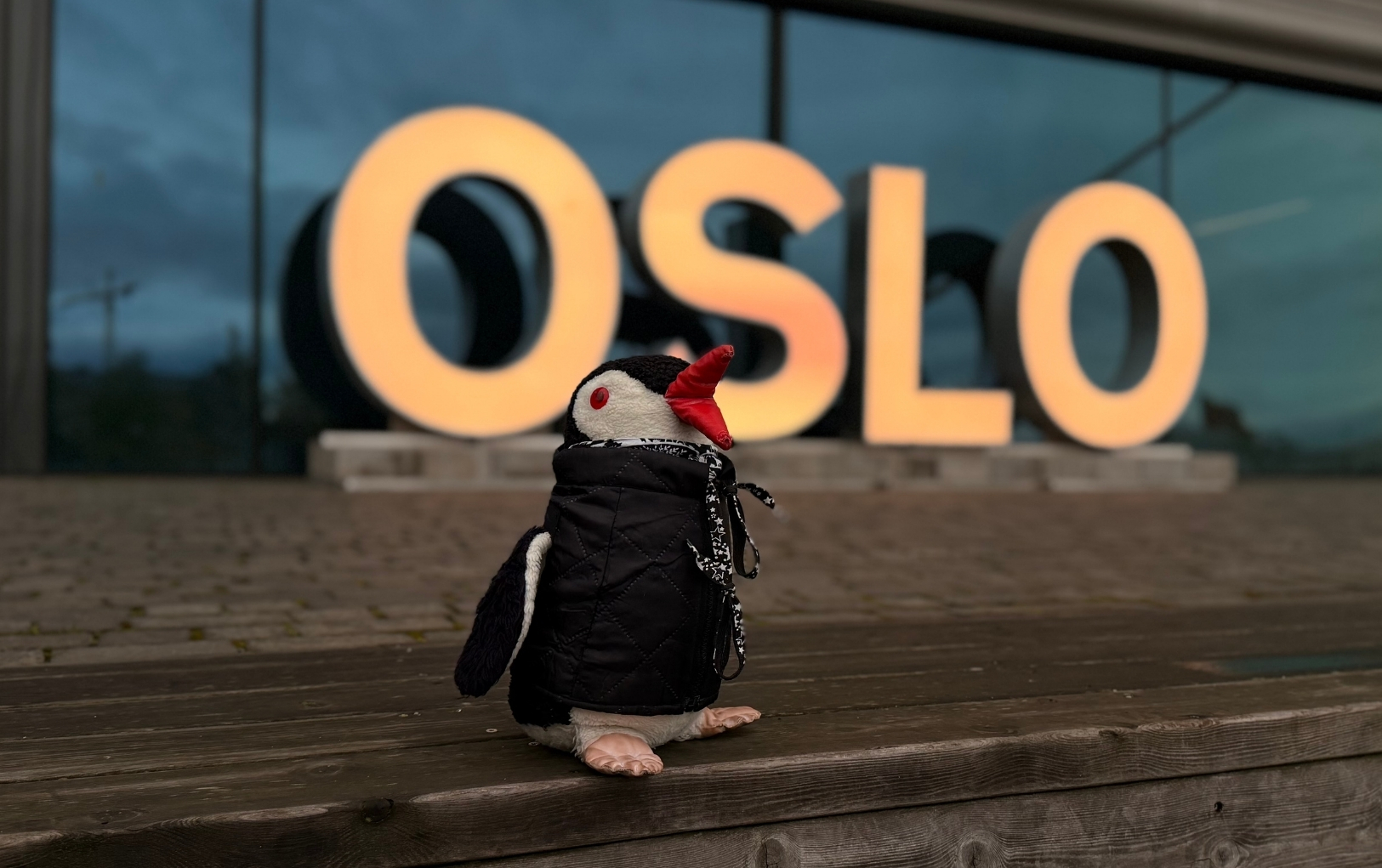 Miško the toy penguin wearing a black jacket sits on a wooden ledge in front of large illuminated letters spelling OSLO