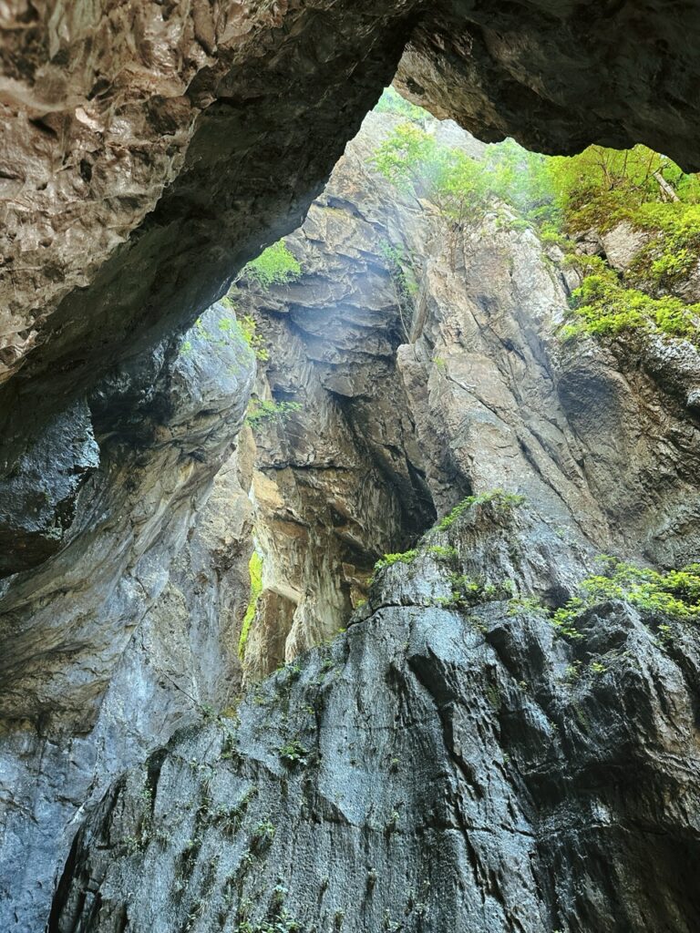 Sunlight shines into the deep rocky gorge of Škocjan Caves