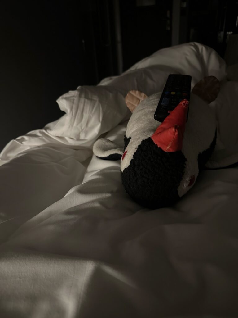 Km Hotel and Apartments Edinburgh review