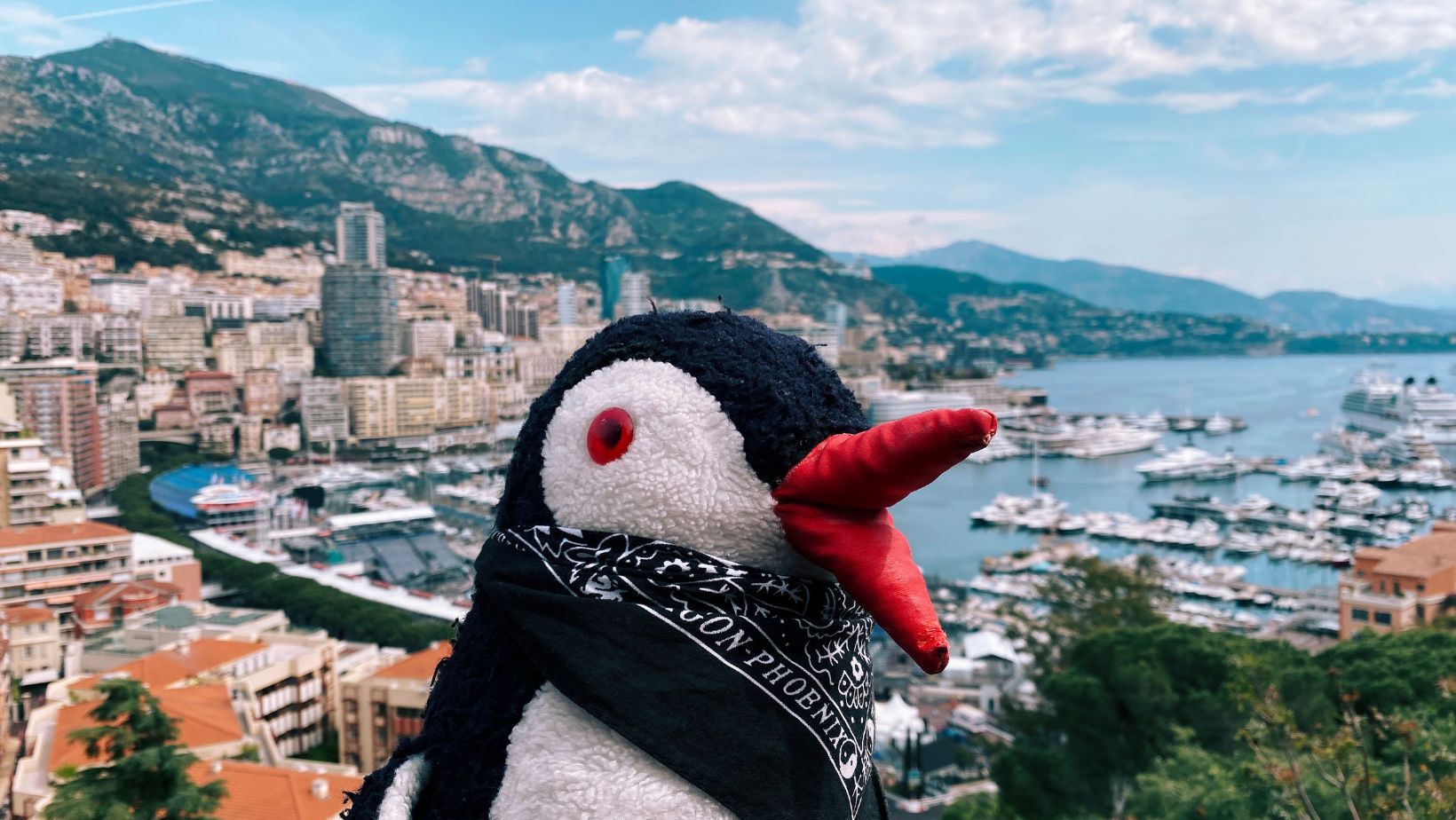 Lifeguin featured image