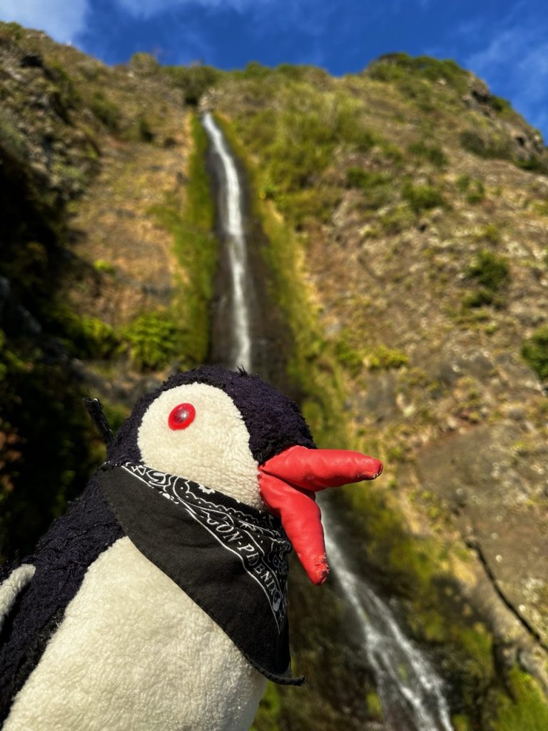 Agua dalto waterfall