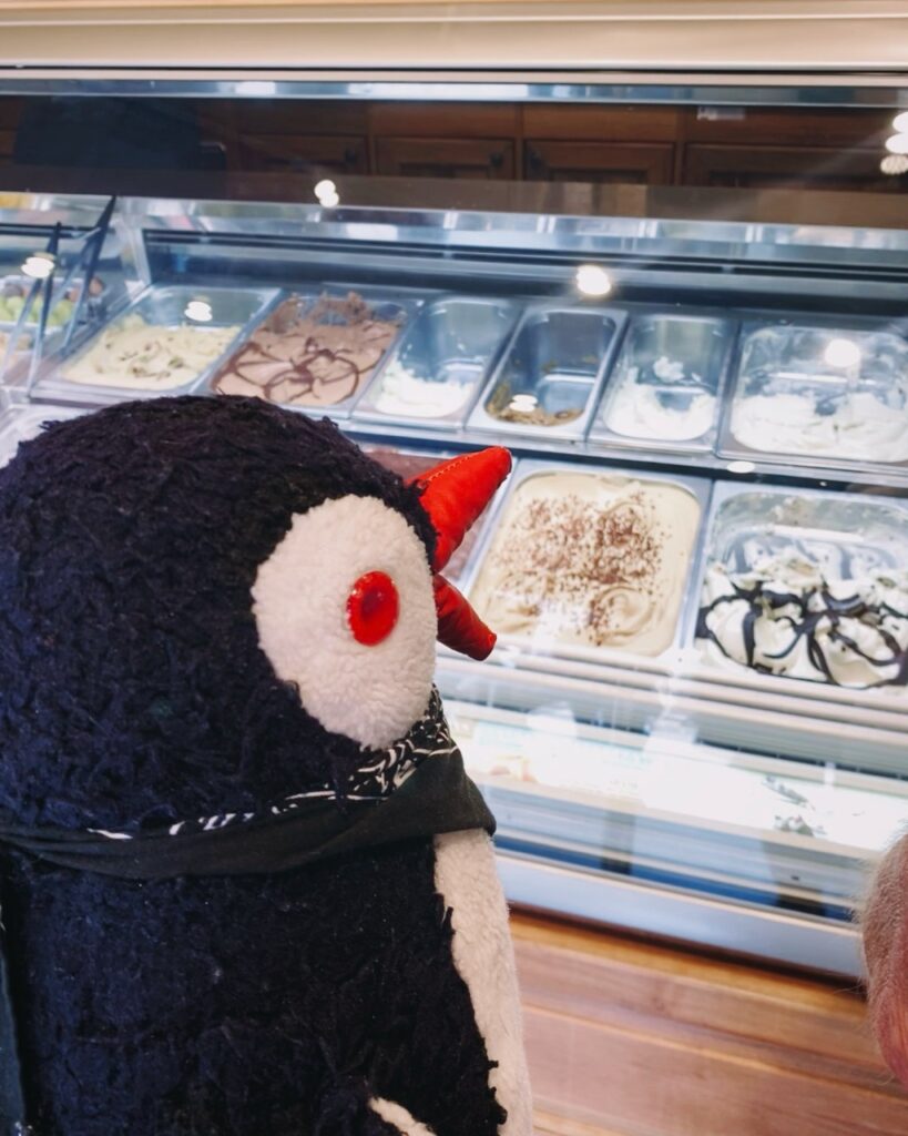 Amonino antibe ice cream