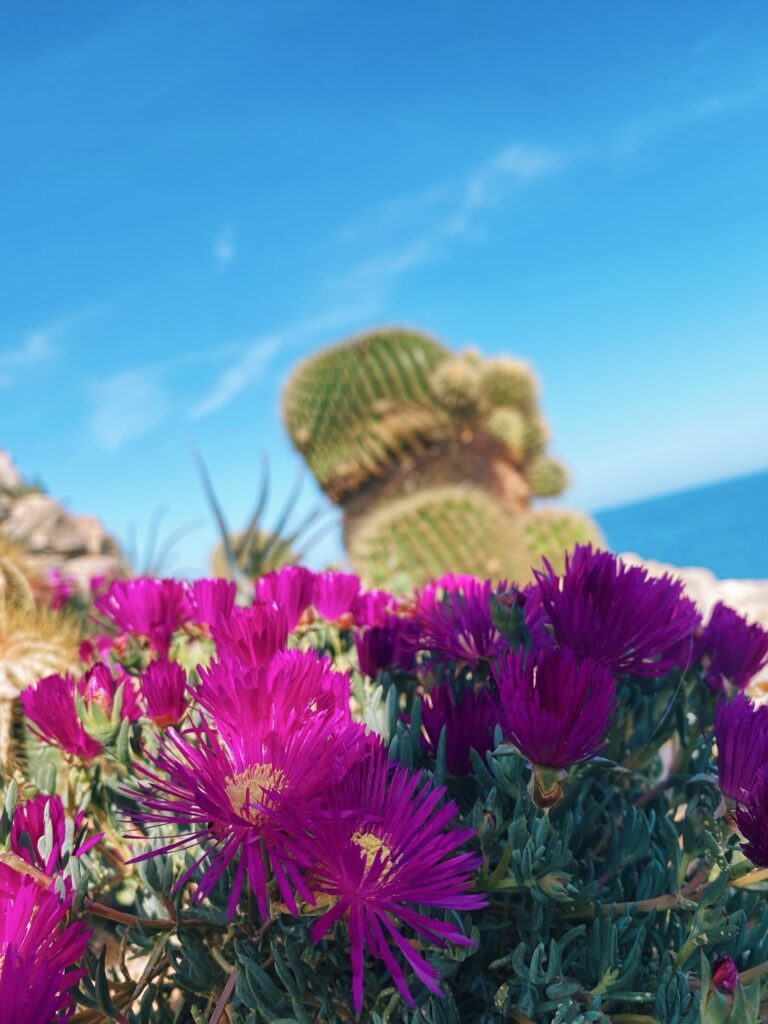 Antibes France