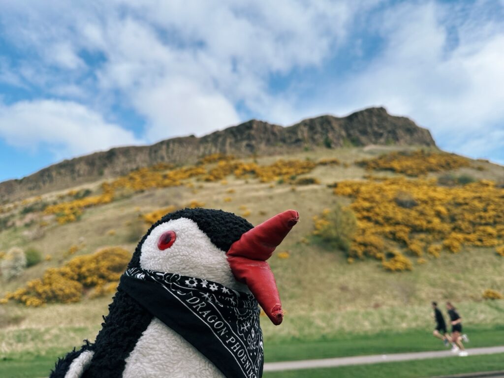 Arthurs Seat edinburgh scotland