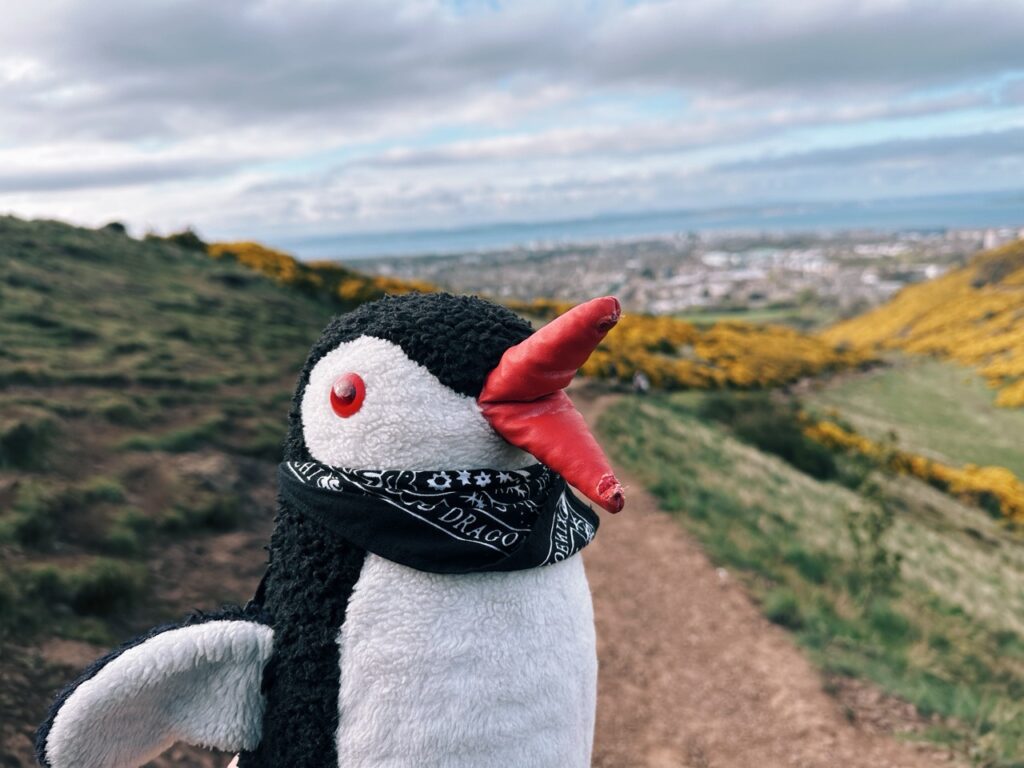 Arthurs Seat edinburgh scotland