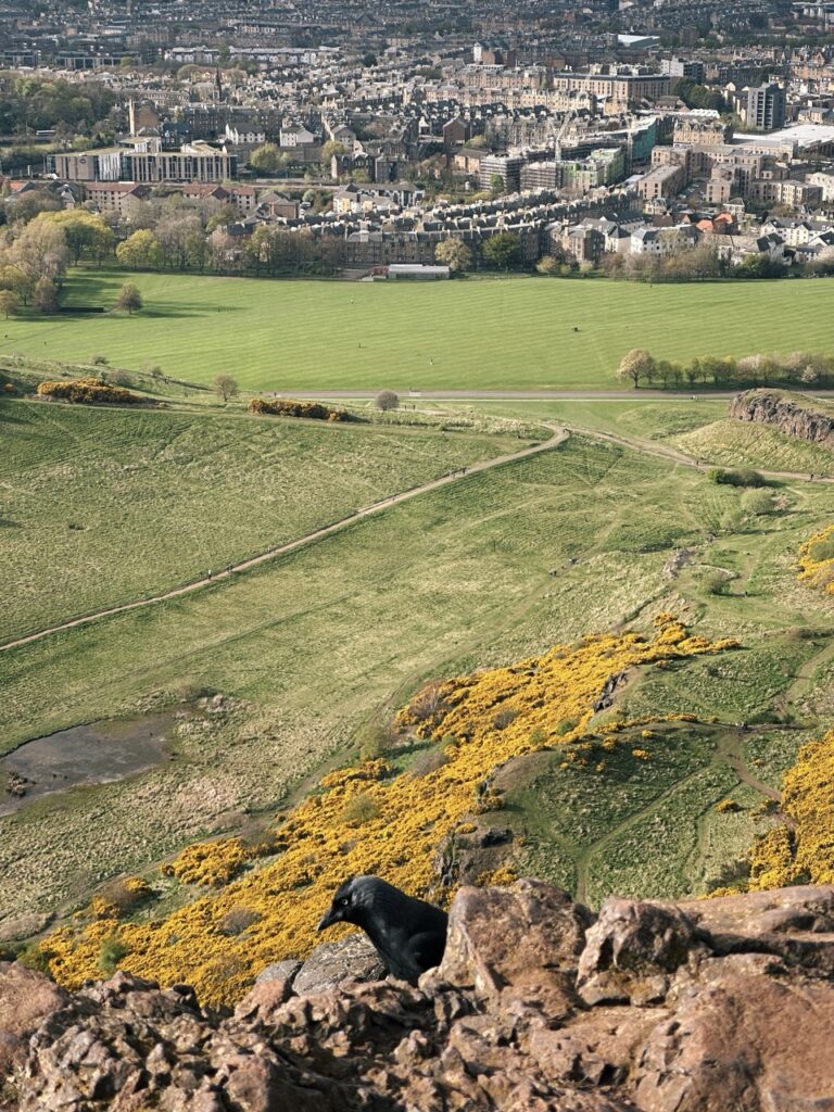 Arthurs Seat edinburgh scotland