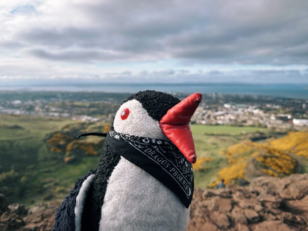 Arthurs Seat edinburgh scotland