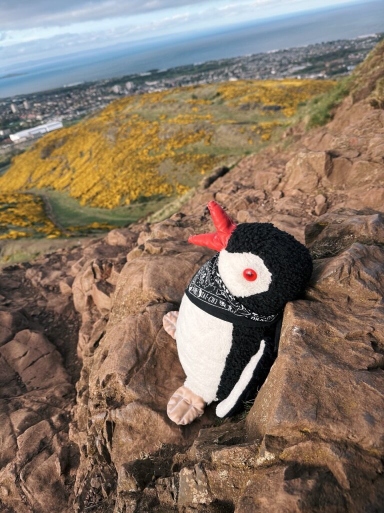 Arthurs Seat edinburgh scotland