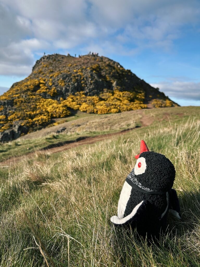 Arthurs Seat edinburgh scotland