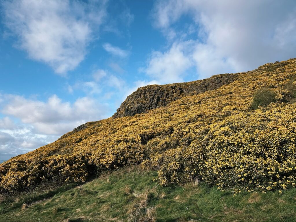 Arthurs Seat edinburgh scotland