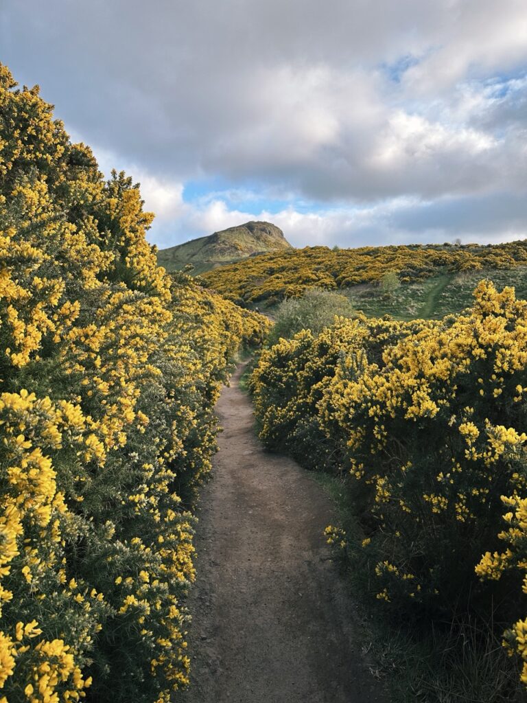Arthurs Seat edinburgh scotland