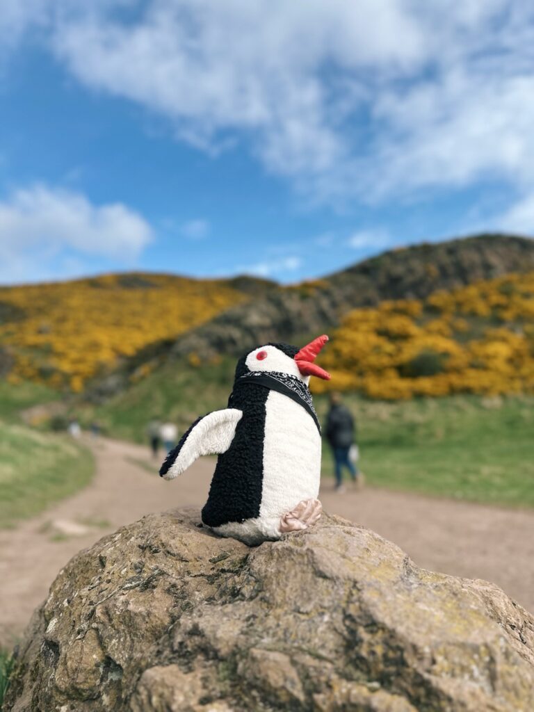 Arthurs Seat edinburgh scotland