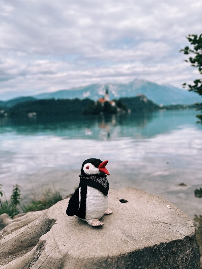 Bled Island slovenia