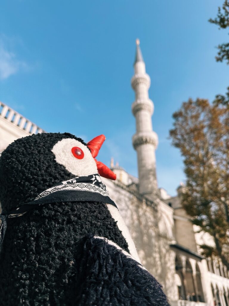 Blue mosque Istanbul
