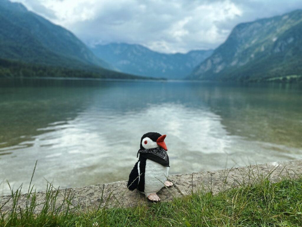 Bohinj Lake slovenia