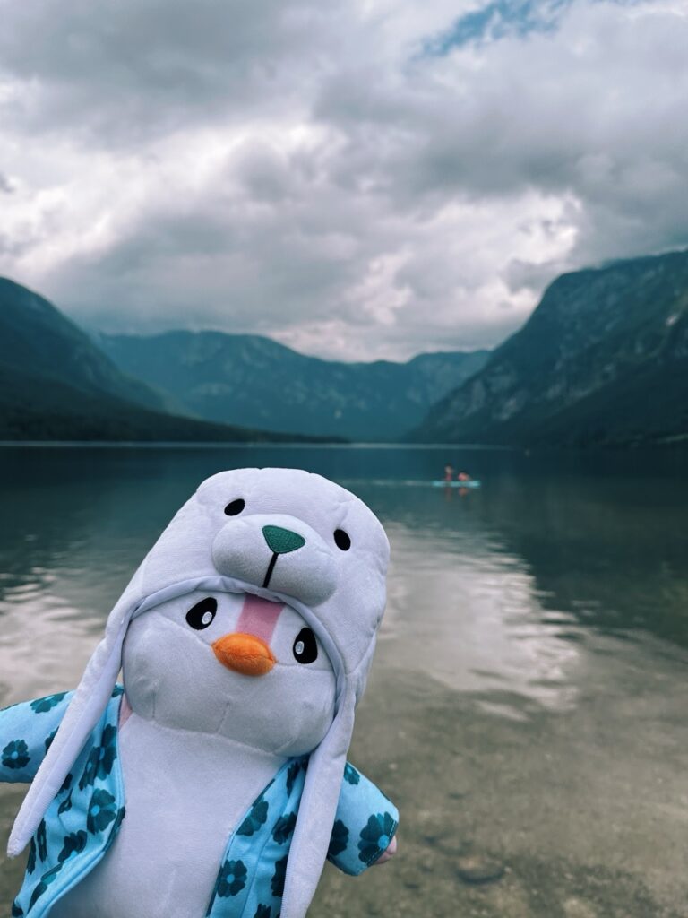 Bohinj Lake slovenia