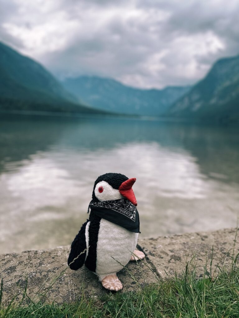 Bohinj Lake slovenia