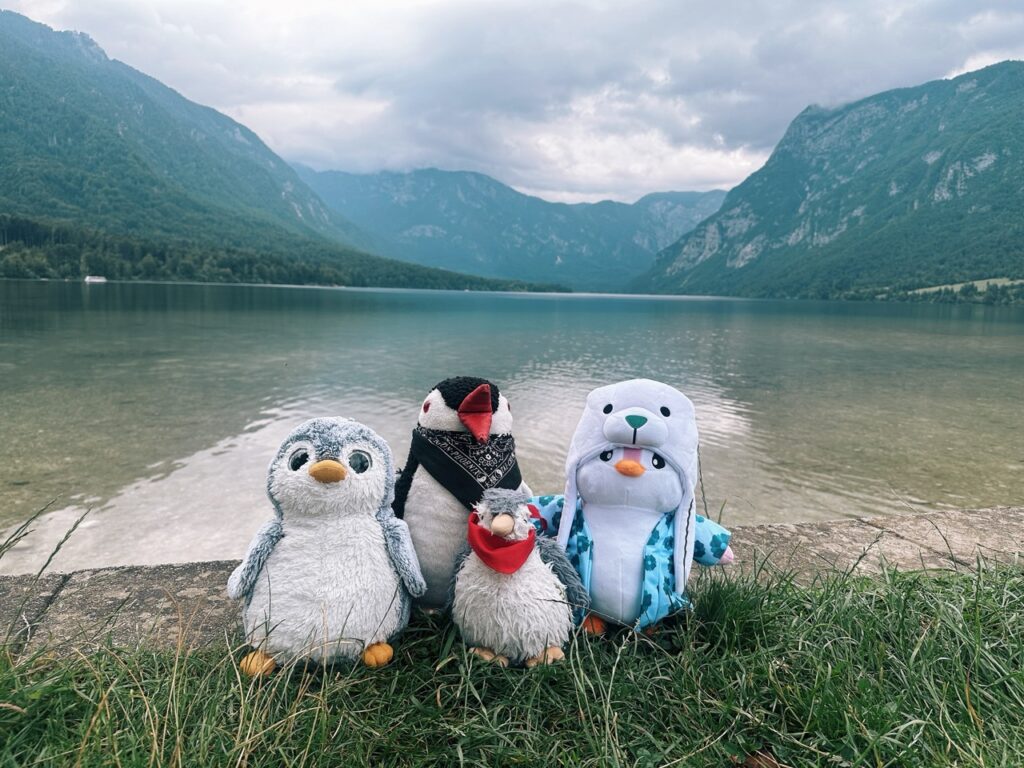 Bohinj Lake slovenia7