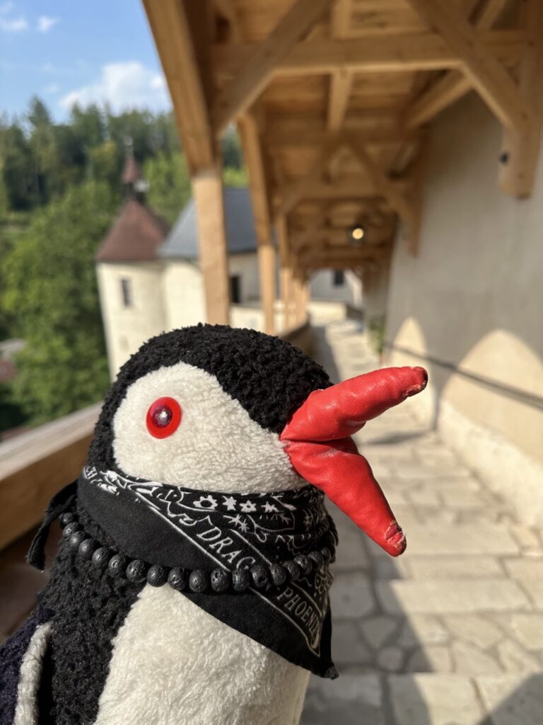 Cesky sternberg Castle