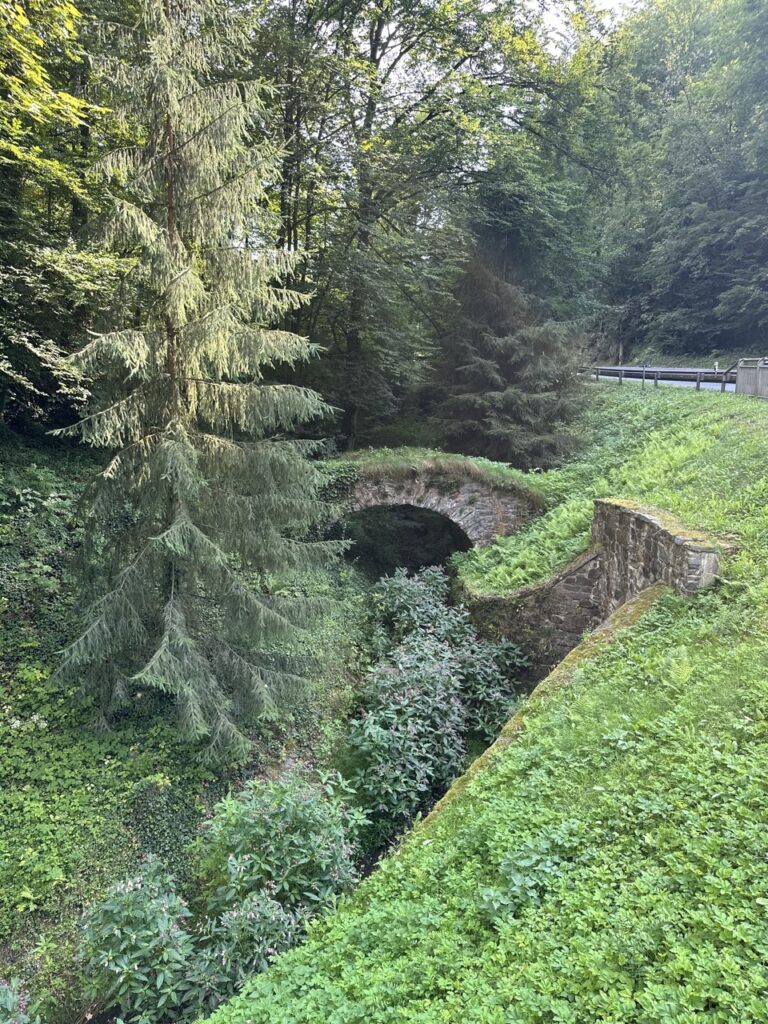 Cesky sternberg Castle