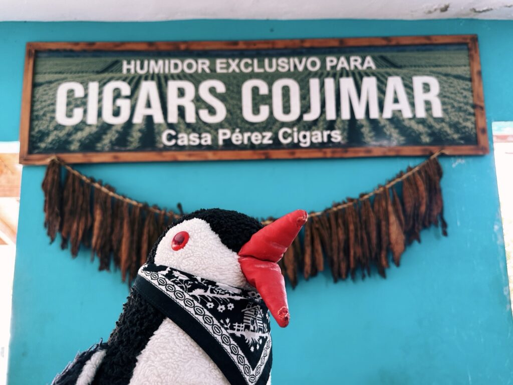 Cigars dominican republic